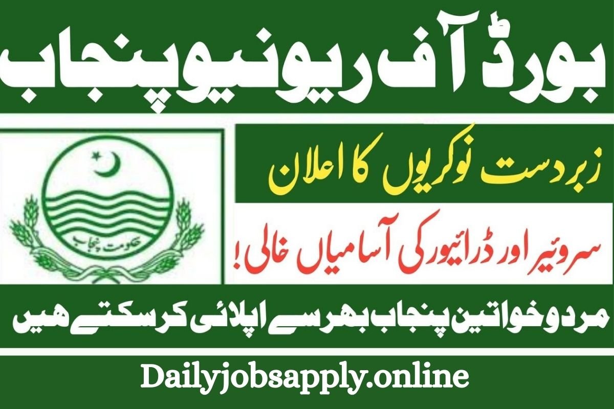 Board of Revenue Punjab PULSE Project Jobs