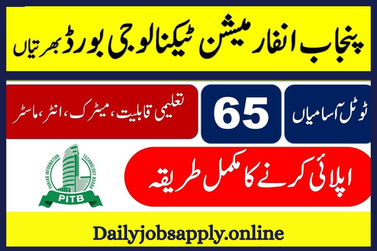 Punjab Information Technology Board (PITB) Job 2026